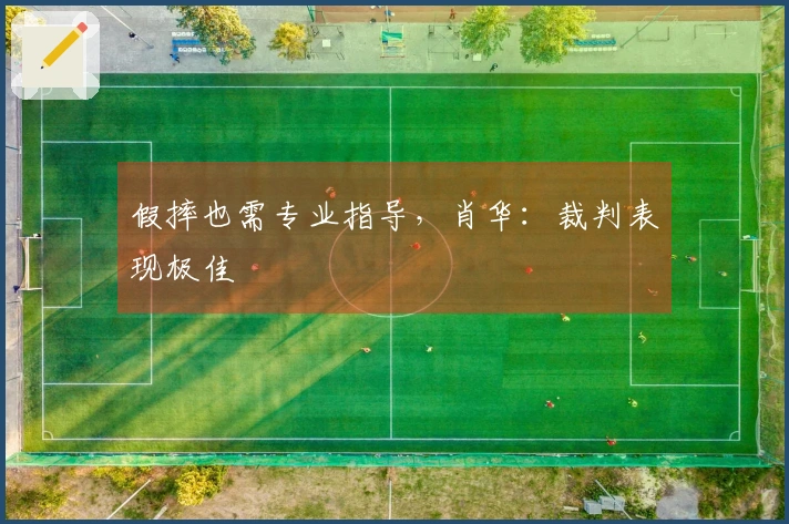 假摔也需专业指导，肖华：裁判表现极佳
